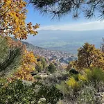 Tatil Evi Casa Artista