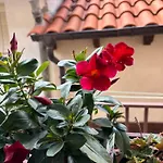 Casa Artista *