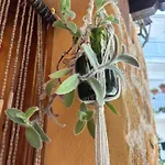 Дом отдыха Casa Artista *