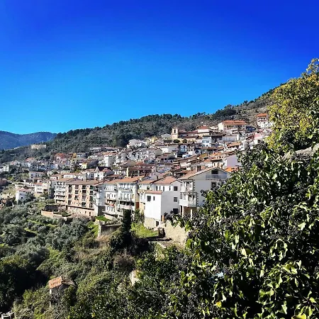 Casa Artista Pedro Bernardo