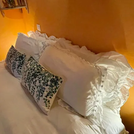 Casa Artista * Pedro Bernardo
