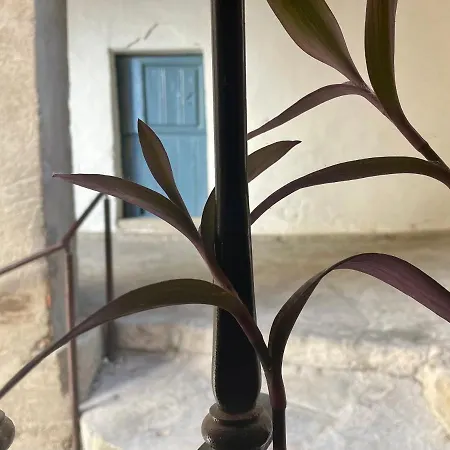 Casa Artista Pedro Bernardo
