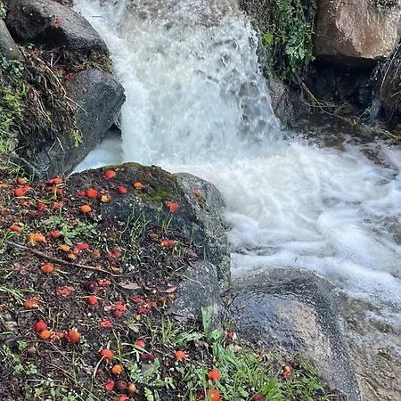 Casa Artista Vakantiehuis Pedro Bernardo