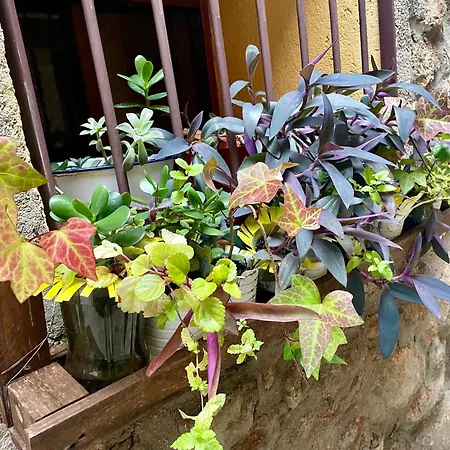 Vakantiehuis Casa Artista