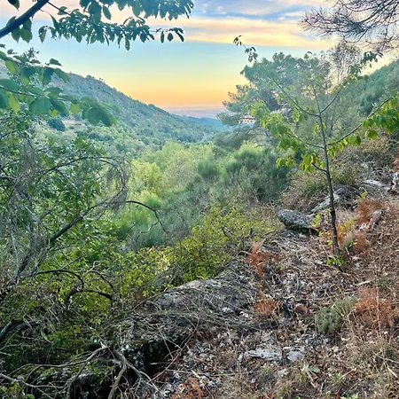 Casa Artista Vakantiehuis *