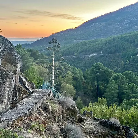 Casa Artista *