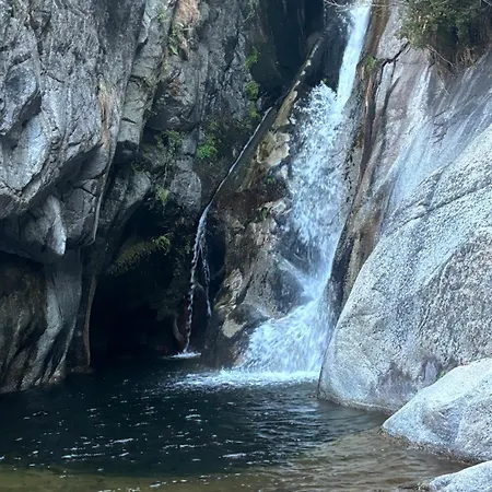 Casa Artista * Pedro Bernardo