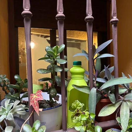 Casa Artista