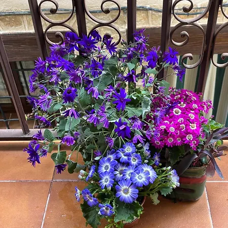 Vakantiehuis Casa Artista Pedro Bernardo