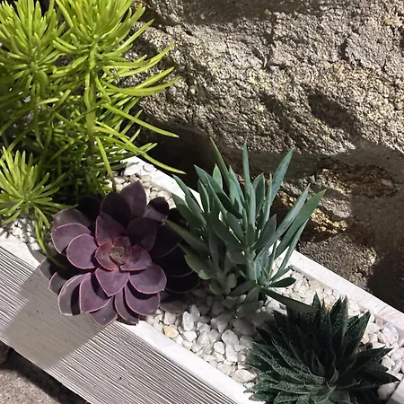 Casa Artista Vakantiehuis *