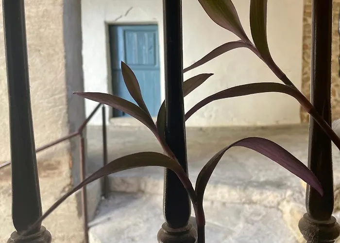 Casa Artista Pedro Bernardo