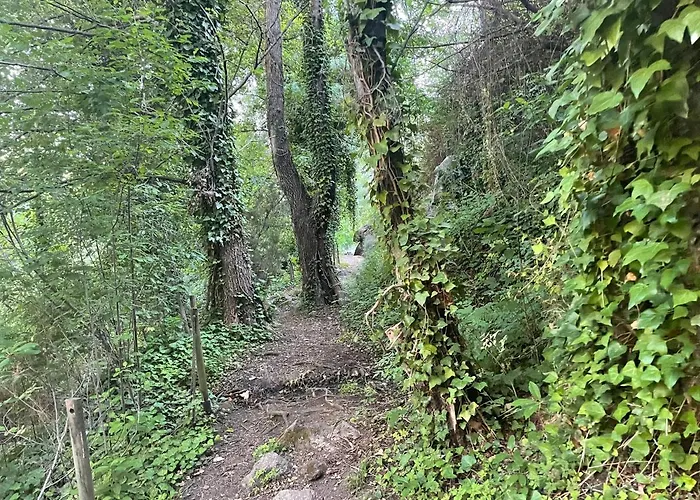 Casa Artista 펜션 Pedro Bernardo