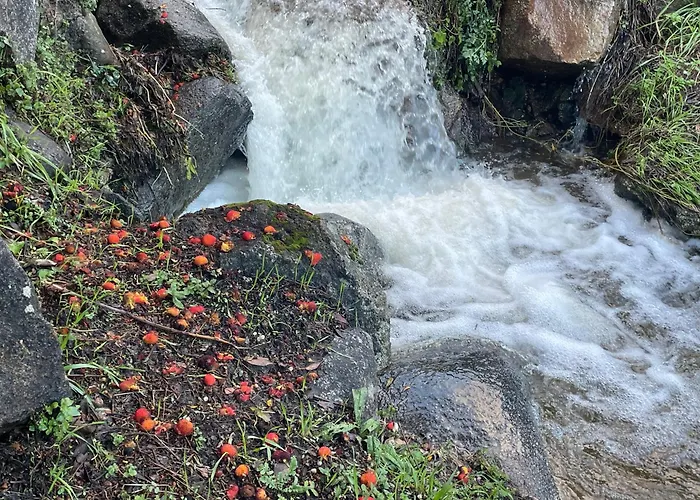 Casa Artista 펜션 Pedro Bernardo