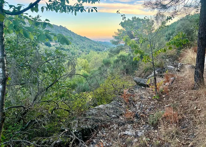 Casa Artista 펜션 *