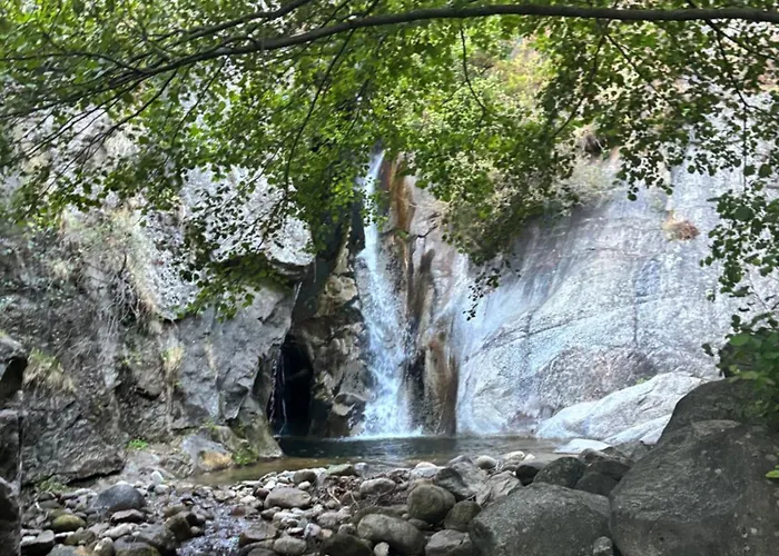 펜션 Casa Artista Pedro Bernardo