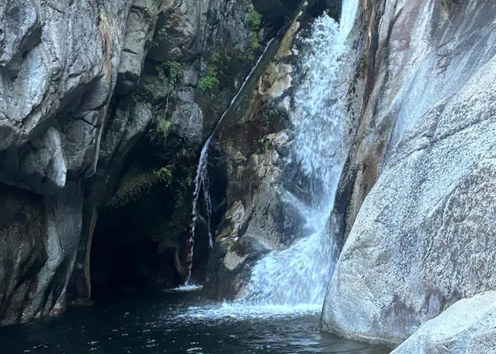 Casa Artista * Pedro Bernardo