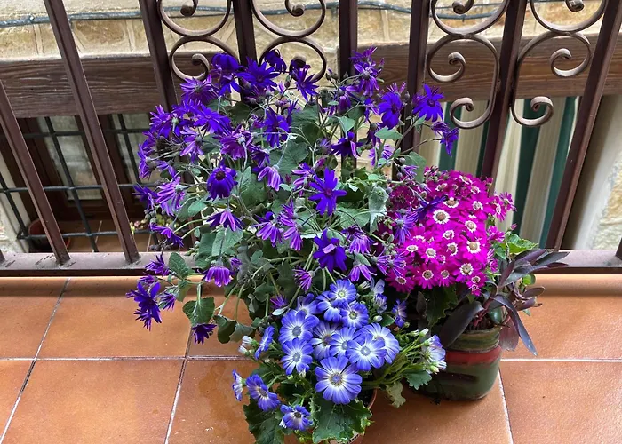 펜션 Casa Artista Pedro Bernardo