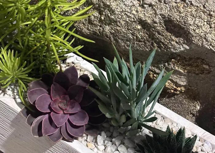 Casa Artista 펜션 *