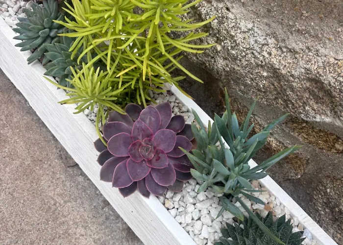 Casa Artista * Pedro Bernardo